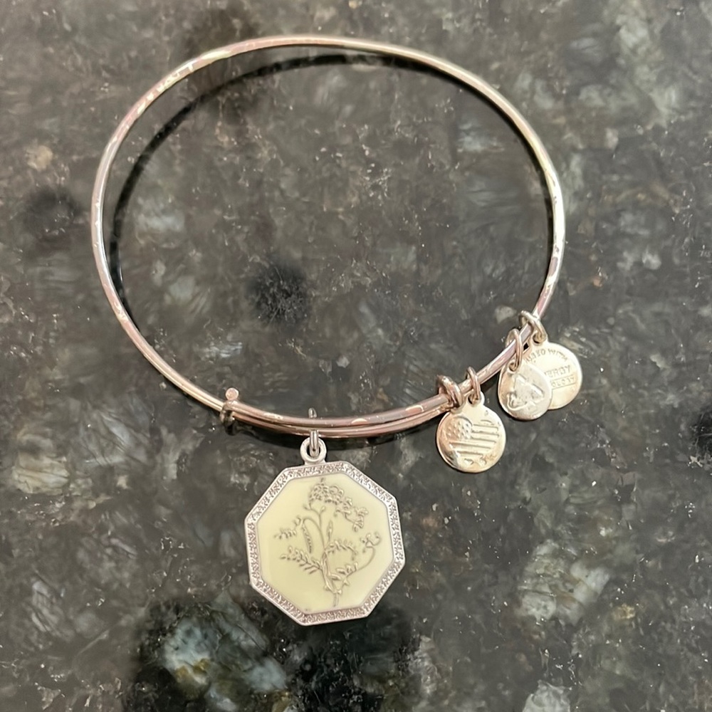 Alex and Ani